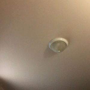 Meet your Posher, Tyson